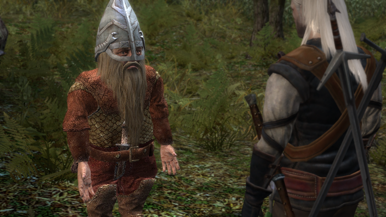 The Witcher, Gnome