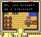 Zelda - Link's Awakening DX - Hibiscus Girl