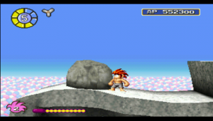 Rock at the Watch Tower in Tomba!