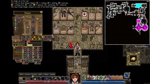 Dungeons of Dredmor - Three Shops!