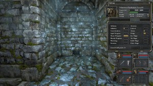 Legend of Grimrock 2 - Character Sheet
