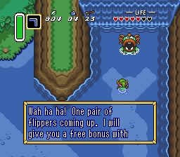 A Link to the Past, Flippers